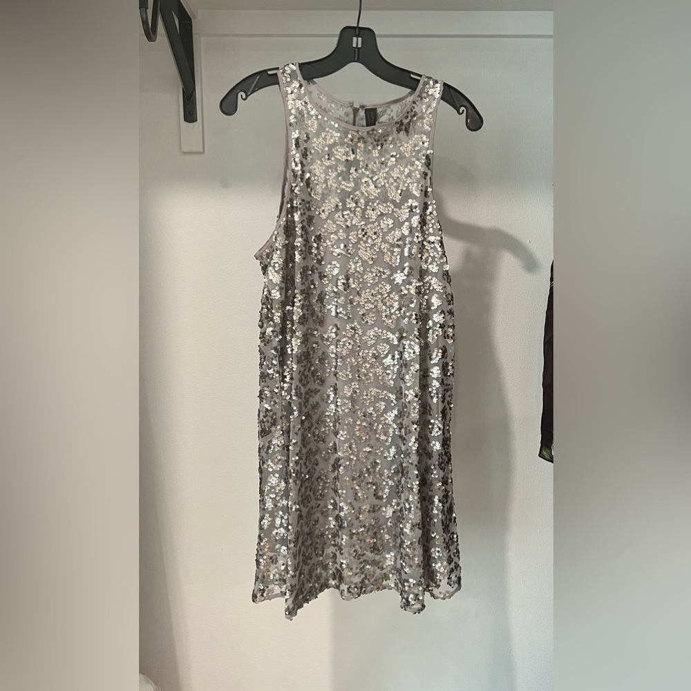 Silver sparkly shift dress
